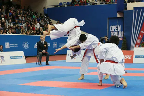 Twin_Karate_Silver2015_05.jpg