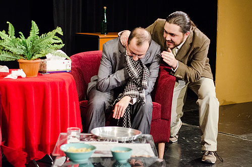 The odd couple at auk