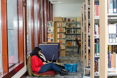 Auk library acquires a new look and holds an open house event