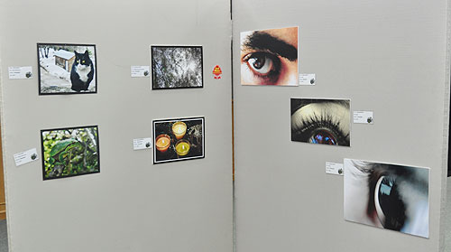 Auk hosts 7th annual art exhibition
