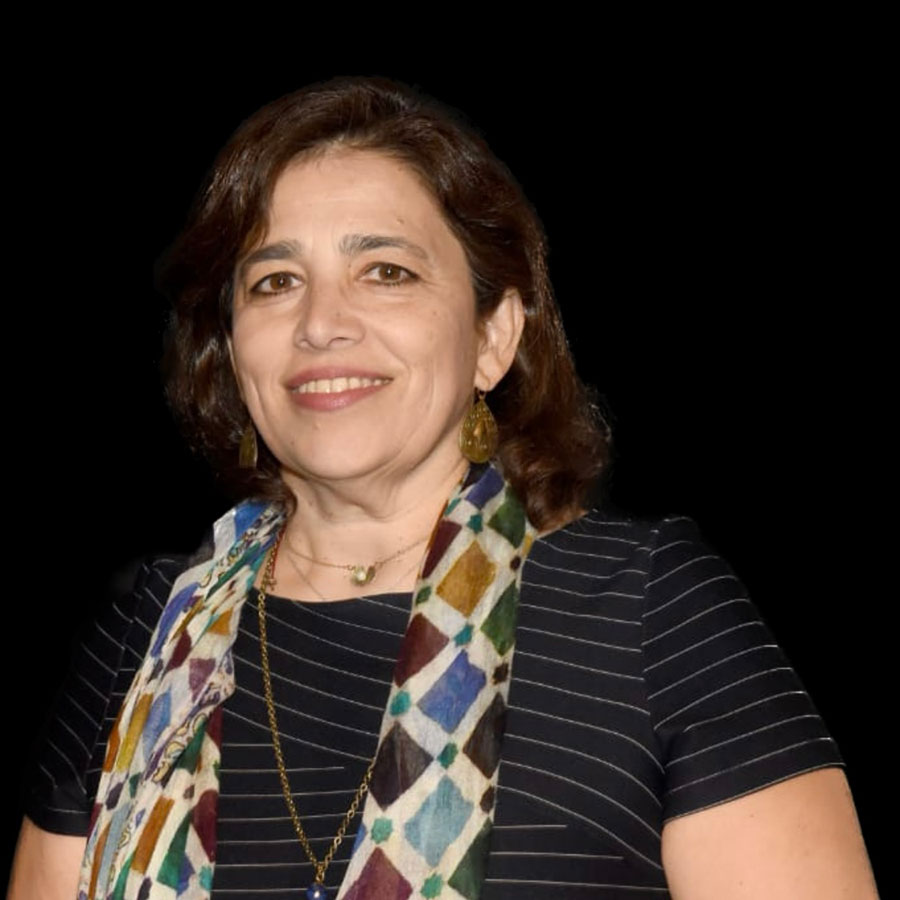 AUK Hosts Seventh Talk of Faculty Speaker Series