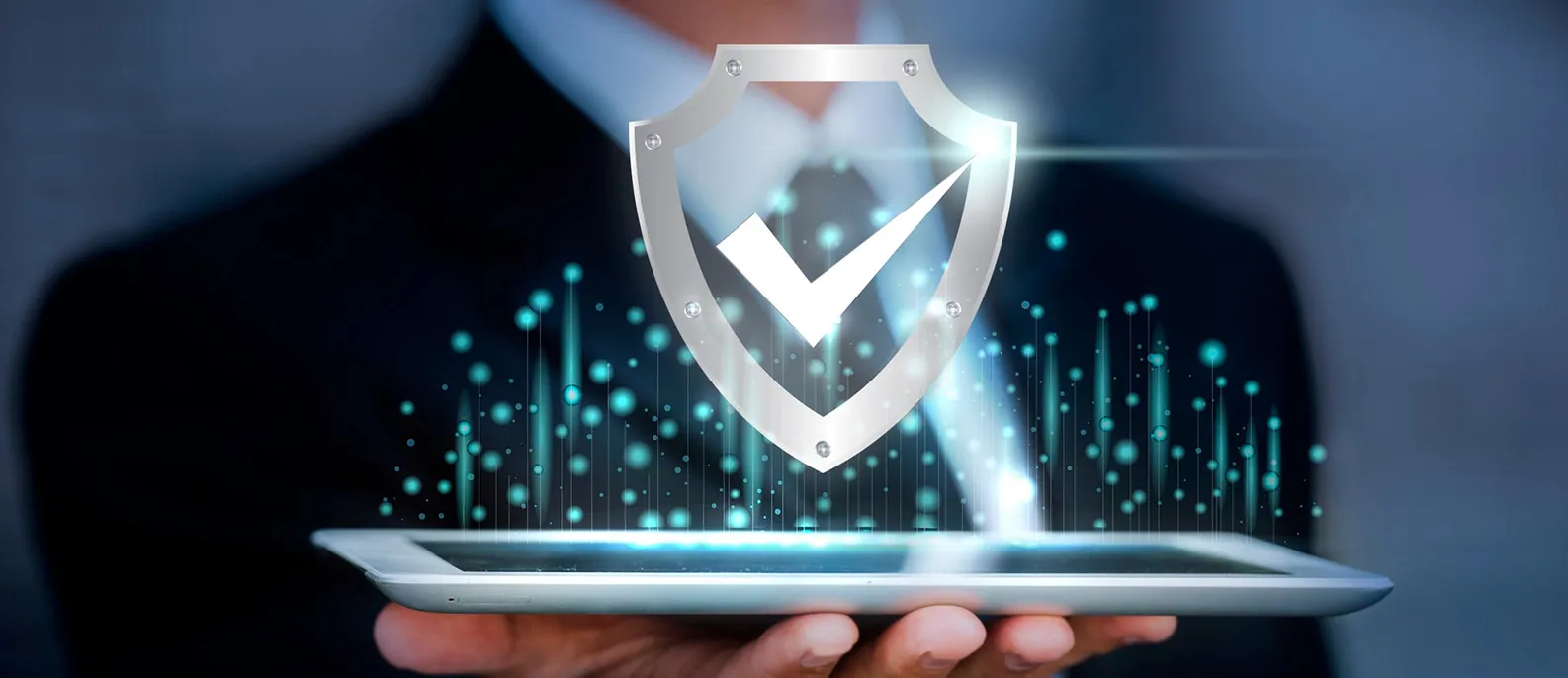 Banner for Privacy statement