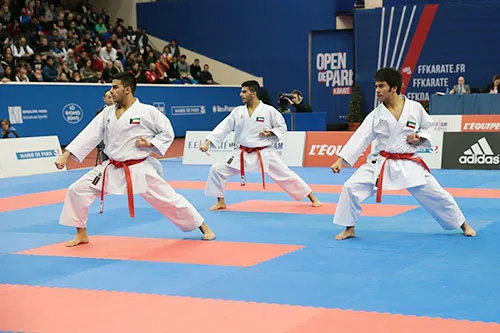 Twin_Karate_Silver2015_06.jpg