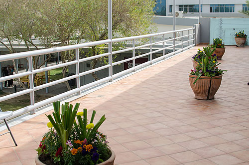 Auk library acquires a new look and holds an open house event